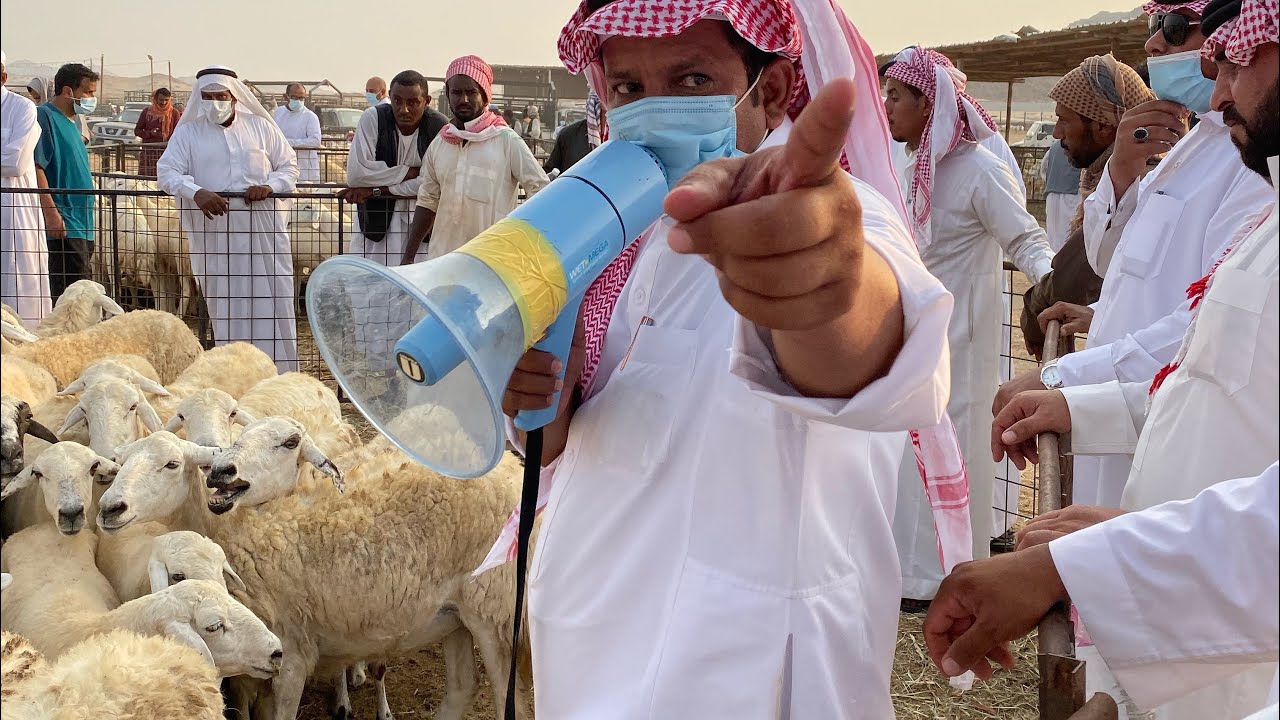 تغطية حراج المقاني ف سوق المنصى 1442/02/01 هـ