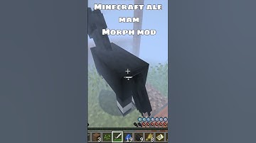 Minecraft ale mam Morph Mod #minecraft #shorts #morphmod
