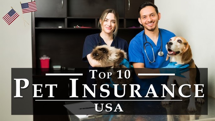 whats the best dog insurance