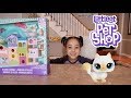 Cali Opens Littlest Pet Shop Petultimate Apartments