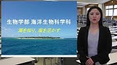 22if 東海大学 海洋学部 Youtube 22if 東海大学 海洋学部 Youtube