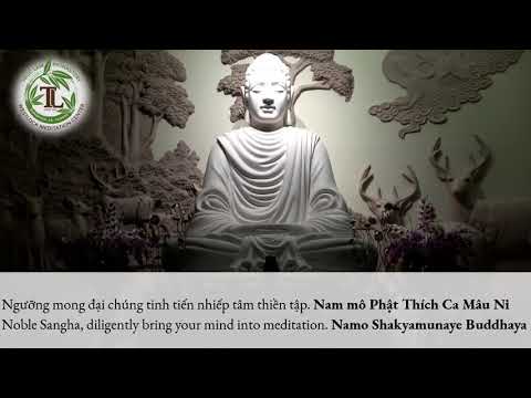 Ngồi Thiền và Lạy Vạn Phật với Thầy Thích Pháp Hòa (6:00pm – Aug 23, 2020 – Trúc Lâm) Ngồi Thiền và Lạy Vạn Phật với Thầy Thích Pháp Hòa (6:00pm – Aug 23, 2020 – Trúc Lâm)