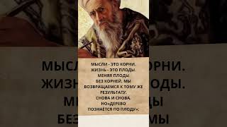 #цитаты #quotes #life #жизнь #мудрыеслова #мысли #цитатыпрожизнь #lifelessons #мотивация #motivation