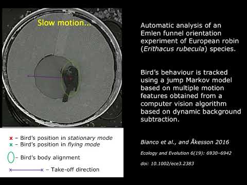 Emlen funnel orientation experiment