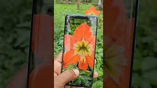 moto edge 60 fusion