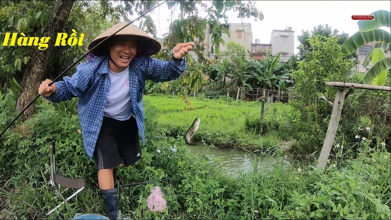 Câu cá rô đồng bằng bài mồi đơn giản hiệu quả - YouTube