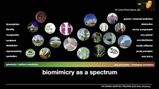 Contextual Intelligence: Biomimicry, AI, and the Land–Water Interface | Intro Talk | Carlos Rivera