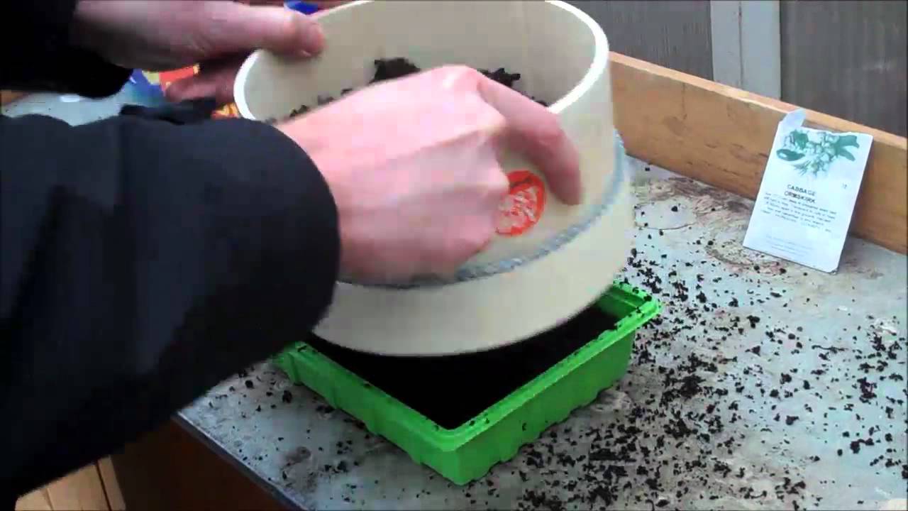 Seed Sowing Essentials - Potting Riddle - YouTube