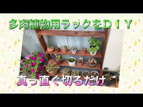 多肉植物用のラックを姉妹でDIY〜主婦でも簡単〜 - YouTube