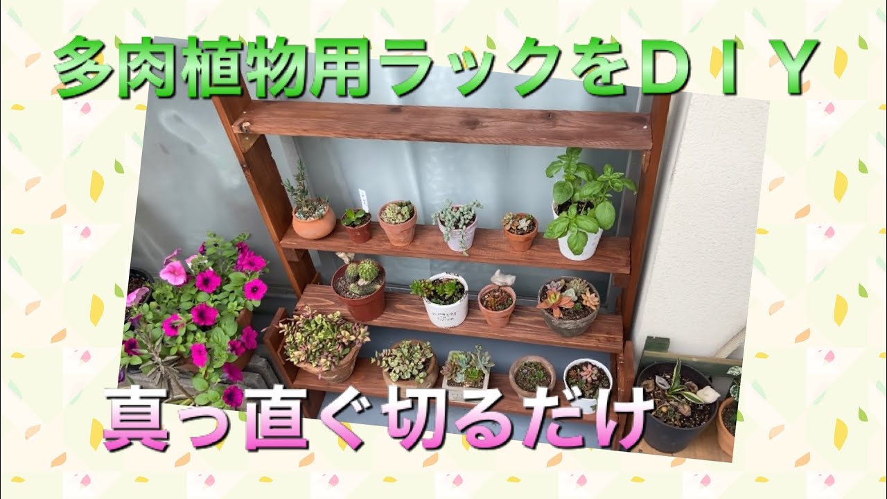 多肉植物用のラックを姉妹でDIY〜主婦でも簡単〜 - YouTube