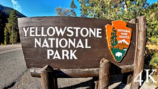 Two Days in Yellowstone (4k)