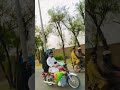 hand tame kabootar with bike #song