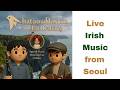 Irish Music Live in Seoul w/ Darren, Minjeong
