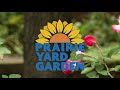Prairie Yard & Garden - Are Roses hard to grow?