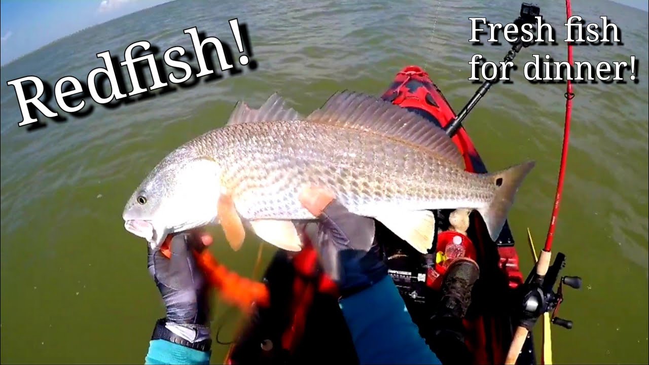 Fishing for Dinner (Galveston Texas Kayak Fishing) YouTube