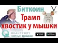 Трамп жук. У мышки не только хвостик. Биткоин не растёт и не падает.