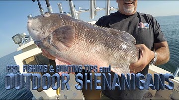 HOW TO ANCHOR FOR ANY BOTTOM FISH USING THE SIMRAD NSS EVO2