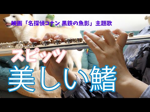 【フルート】美しい鰭/スピッツ　映画「名探偵コナン 黒鉄の魚影」主題歌【演奏してみた】FLUTE