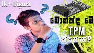 Trusted Platform Module| TPM| What is tpm explanation | Sinhala | Bat pedia