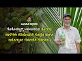 Coconut Farmer Mr. Bawa from Ernakulam Shares His Results!