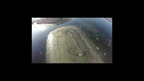 Drone Flight   Back Bay