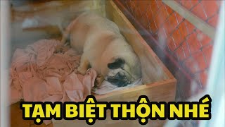 Tạm Biệt Thộn (Clip Này Hơi Buồn)