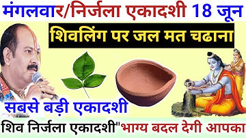 18 जून निर्जला एकादशी व्रत/ हल्दी और तुलसी के पत्ते का उपायEkadashi Prdeep Mishra ji Upay