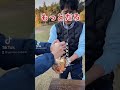 ジャンボエビフライ3本食べた😆#shorts #ガードマン ＃海老フライ