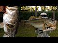 One Bite Changed EVERYTHING... Big fish caught