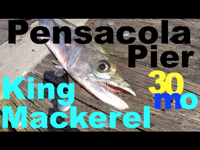 PIER FISHING - Catching King Mackerel - Pensacola Florida