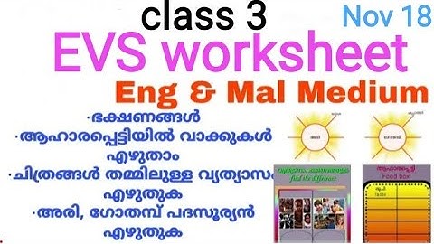 class 3 Evs worksheet/malayalam &English worksheet/november 18/kite victers online class worksheet