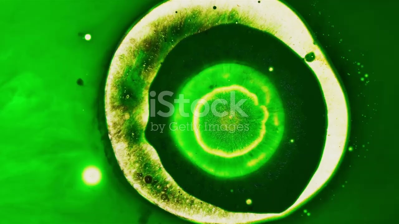 LIFE UNDER THE ELECTRON MICROSCOPE