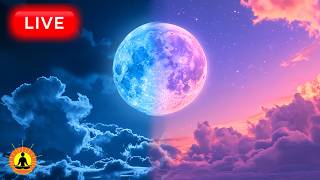 🔴 BEST DEEP SLEEPING MUSIC 2026: Deep Sleep Music, Peaceful Music, Relaxing Sleep, Sleep Meditation