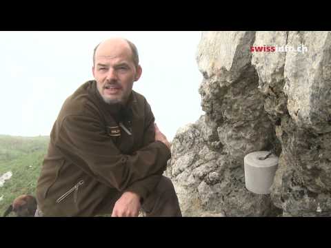 A day in the life of an alpine game keeper