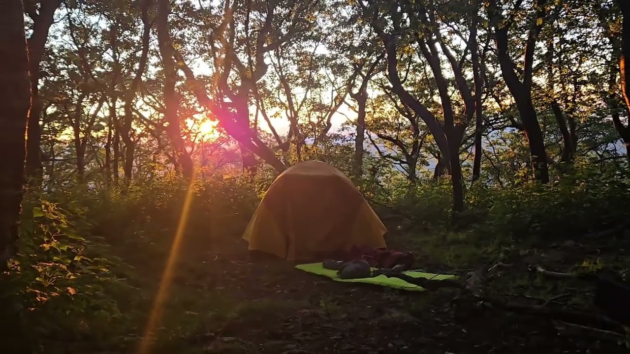 Standing Indian via Lower ridge trail to Appalachian trail to Kimsey Creek trail