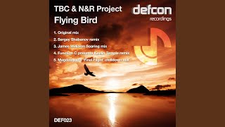Flying Bird - TBC and N&R Project