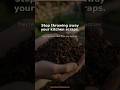 Turn Kitchen Scraps into Free Fertilizer (Composting 101)