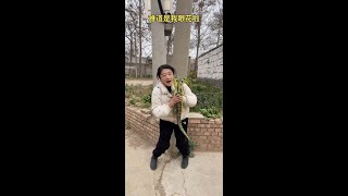 #春季出游好去处# 搞笑视频#农村搞笑#正能量短剧#乡村故事#家庭趣事#欢乐日常