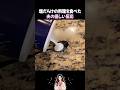 塩だらけの料理を食べた夫の優しい反応
