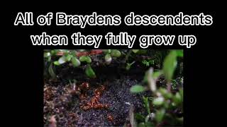 Slandering My Classmates (Brayden Edition) Pt.2