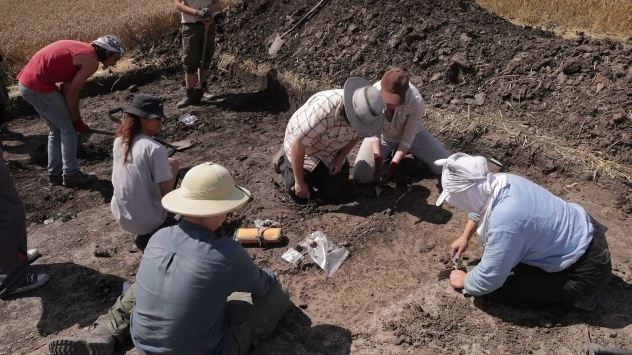 Badania archeologiczne w Ciepłem