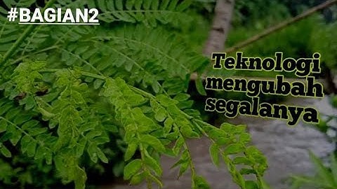 Dampak Sosial Informatika (Teknologi Mengubah Segalanya) | Film Pendek #BAGIAN2