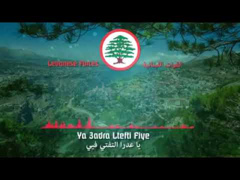 يا عدرا التفتي فيي  طالب منك عيدية .. القوات اللبنانية