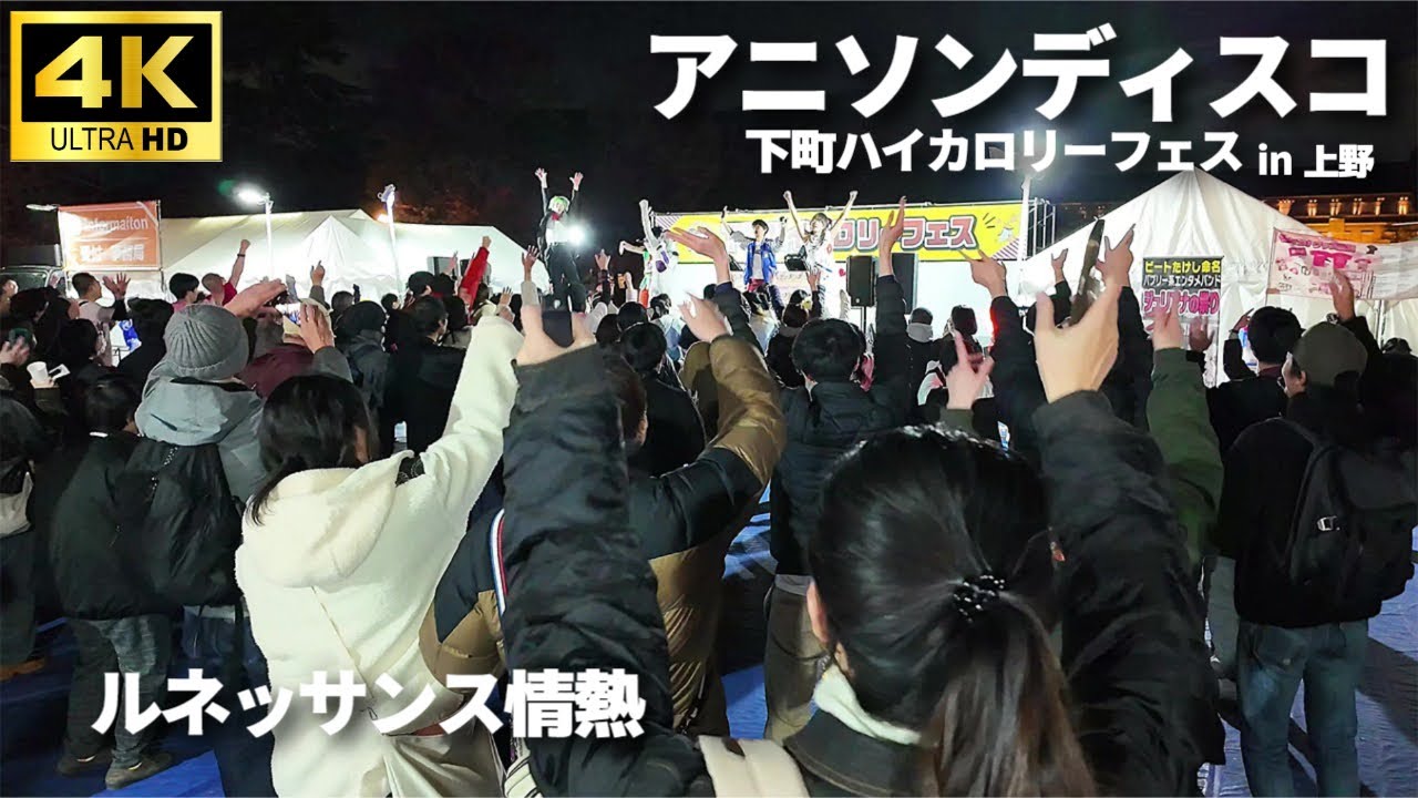 アニソンディスコ 】「ルネッサンス情熱」国安わたる / アニメ