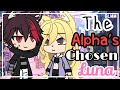 The Alpha's Chosen Luna | GLMM | Gacha Life Mini Movie | ORIGINAL