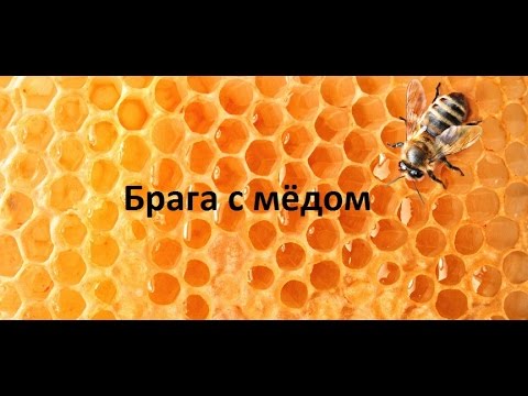 Брага на меду