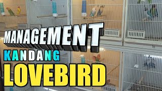 Wow Bersih Banget Peternakan Lovebird Di Belanda Ini Sangat menginspirasi