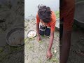 Little Boy Catching Big Fish in River Flowing Water #fishing