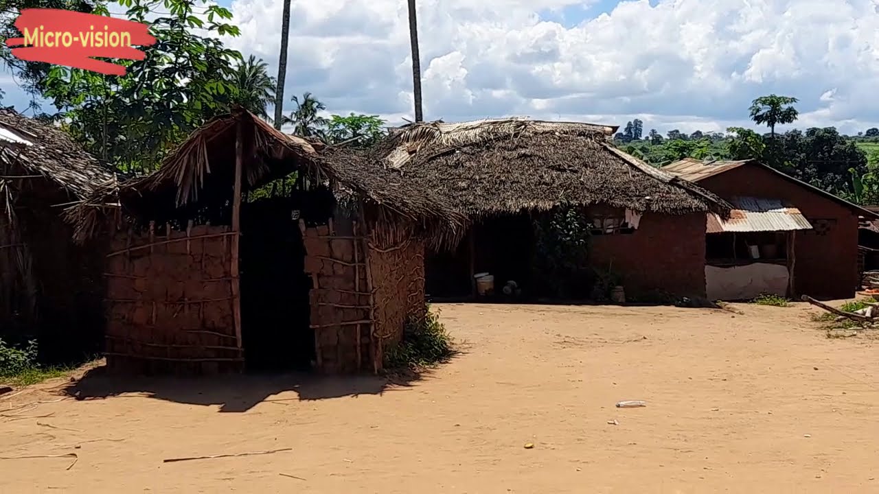 তাঞ্জানিয়ার গ্রামের বসতি  -  Muheza- Village life in Tanga, Tanzania  !!!