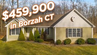 344 Bozrah Street video tour